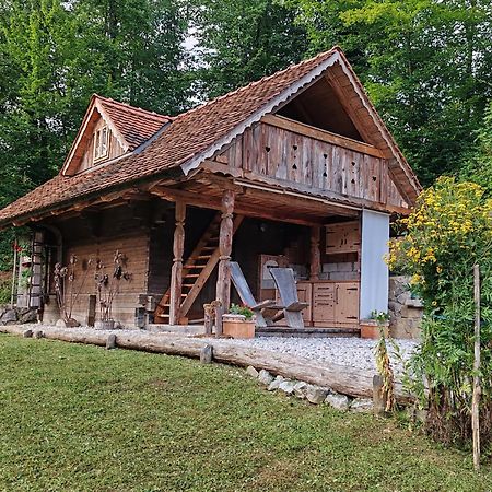 Apartma Kasca Domžale Dış mekan fotoğraf